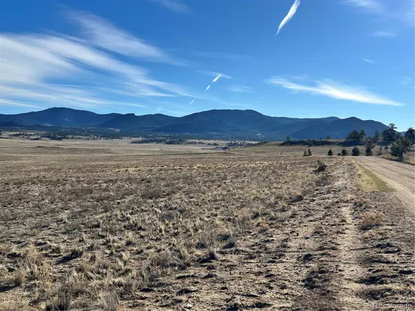 4284 Goldenberg Canyon RD, Hartsel, CO 80449
