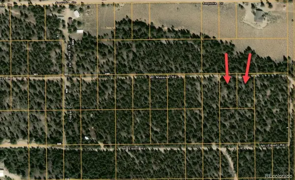 66 Mount Massive RD, Twin Lakes, CO 81251