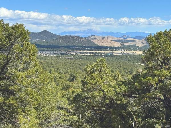 TBD - Lot 36 Corral, Texas Creek, CO 81223