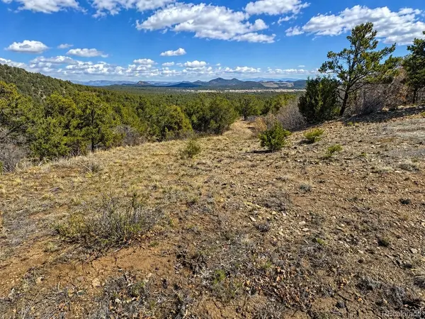 TBD - Lot 36 Corral, Texas Creek, CO 81223