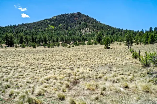 0 Roan TRL, Guffey, CO 80820