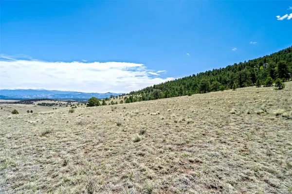 0 Roan TRL, Guffey, CO 80820