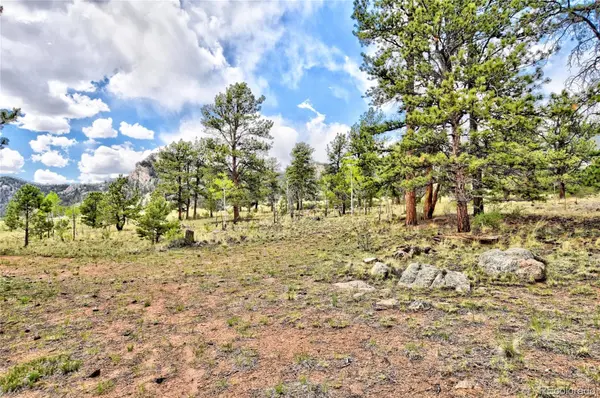 490 Teller ST, Lake George, CO 80827