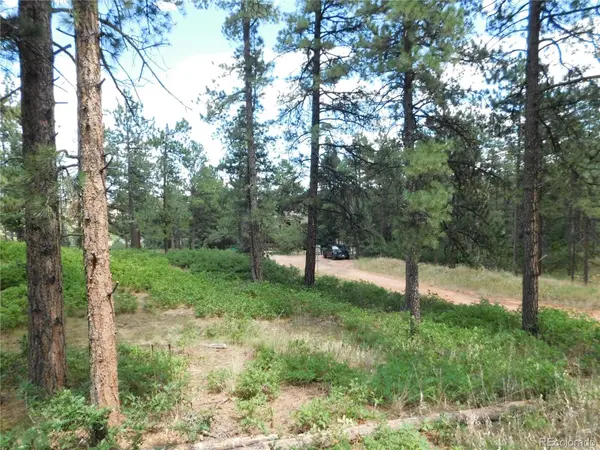 8055 Acoma DR, Larkspur, CO 80118