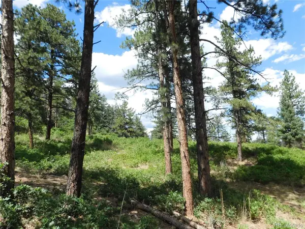 8055 Acoma DR, Larkspur, CO 80118