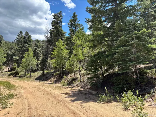 00 Sesame RD, Fort Garland, CO 81133