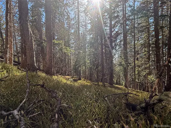 LOT 6530 Schluetter RD, Fort Garland, CO 81133