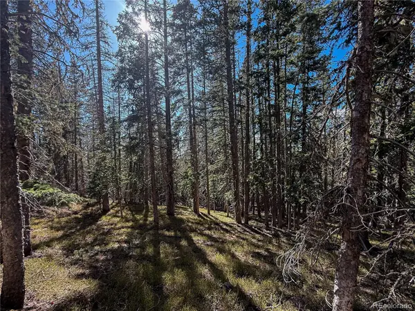 LOT 6530 Schluetter RD, Fort Garland, CO 81133