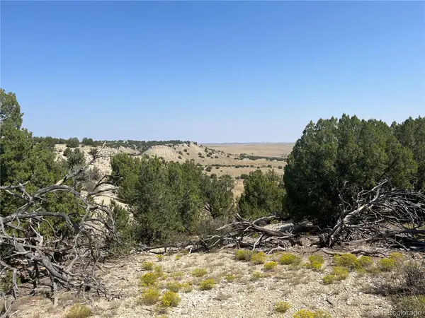 Par 90 Railroad Springs RD, Pueblo, CO 81004