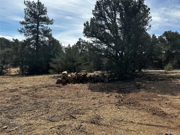 2065 Indian Wells RD, Cotopaxi, CO 81223