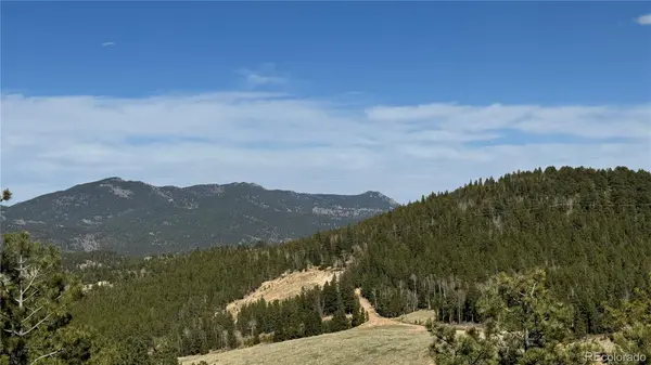 005 Pewabic Mine RD, Central City, CO 80427