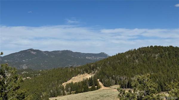 005 Pewabic Mine RD, Central City, CO 80427
