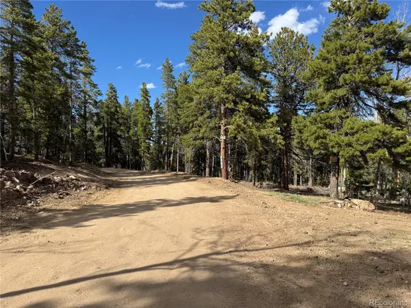005 Pewabic Mine RD, Central City, CO 80427