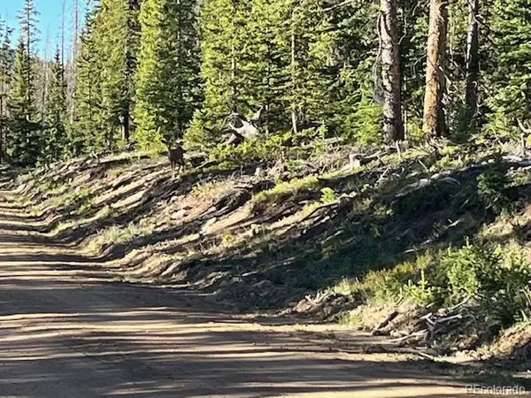 Lot 6525 Schlueter RD, San Luis, CO 81152