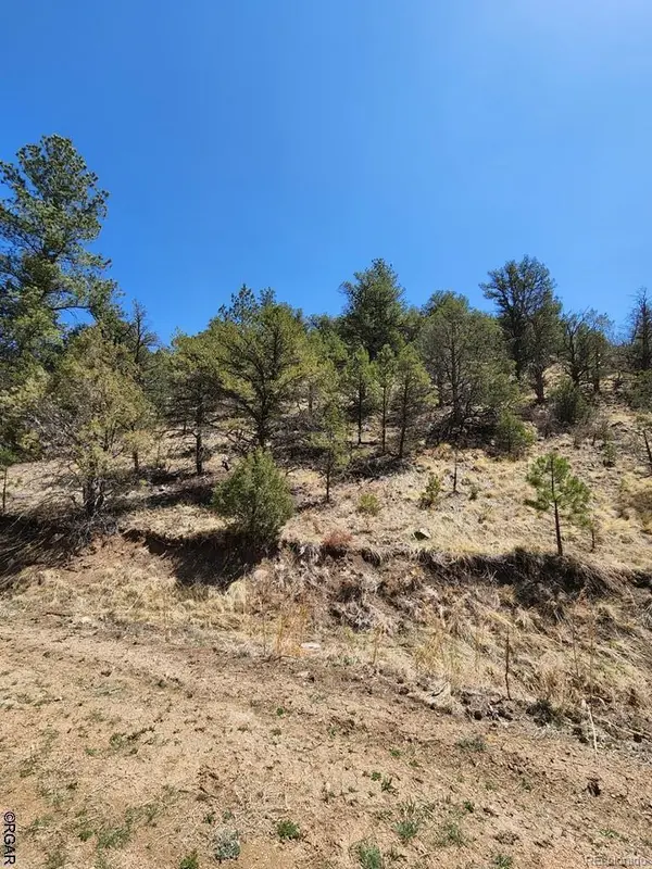 1314 Arnold DR, Cotopaxi, CO 81223