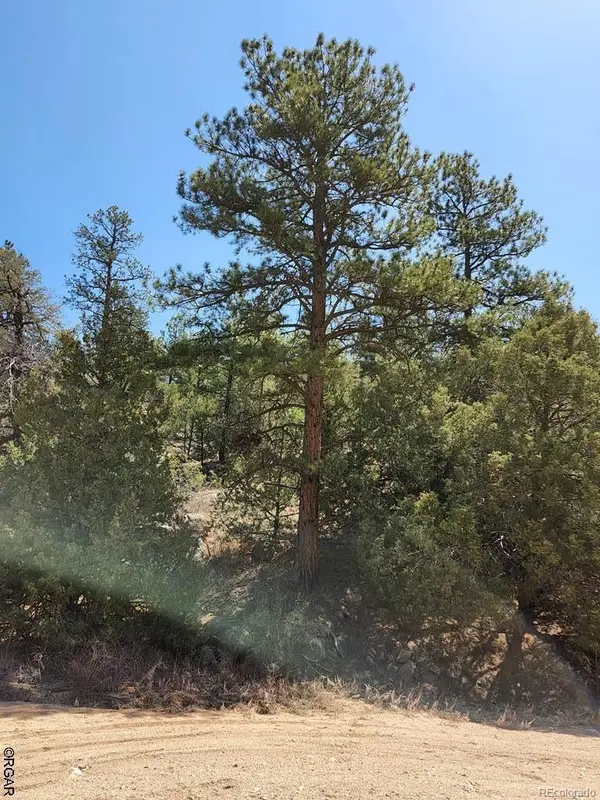 1314 Arnold DR, Cotopaxi, CO 81223
