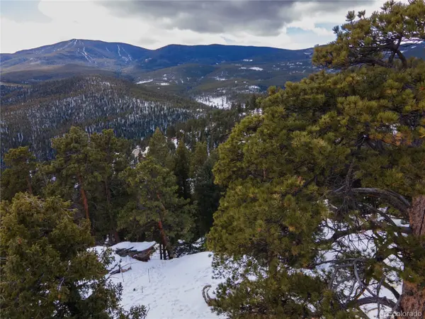 32613 Lodgepole CIR, Evergreen, CO 80439