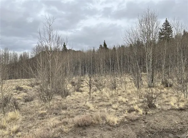 688 Ouray TRL, Como, CO 80432