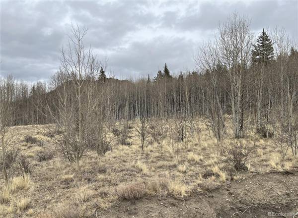 688 Ouray TRL, Como, CO 80432