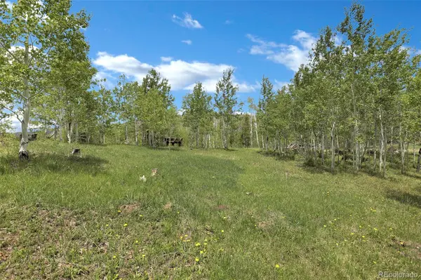 1121 GCR 2416, Kremmling, CO 80459