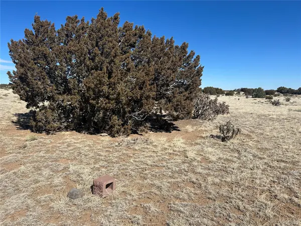 Lot 241 Greenhorn Village LN, Walsenburg, CO 81089