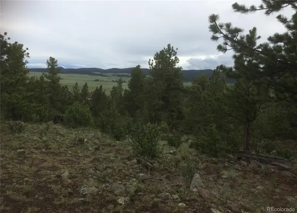 256 Bandana RD, Hartsel, CO 80449