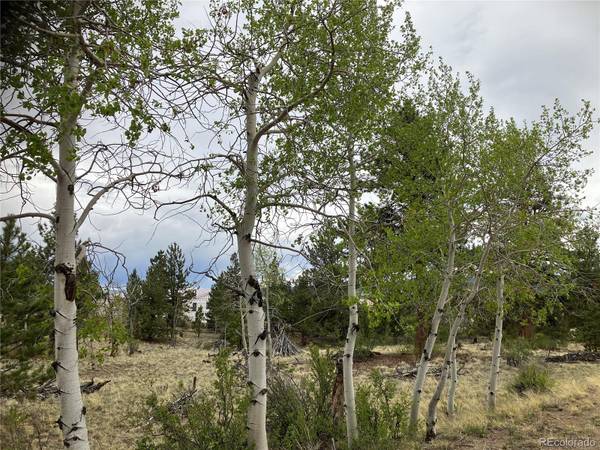 256 Bandana RD, Hartsel, CO 80449