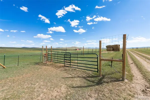 Badger RD, Hartsel, CO 80449