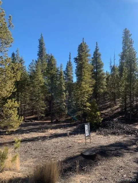 180 Peak View DR, Leadville, CO 81251