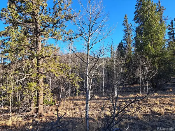1645 Chippewa RD, Como, CO 80432