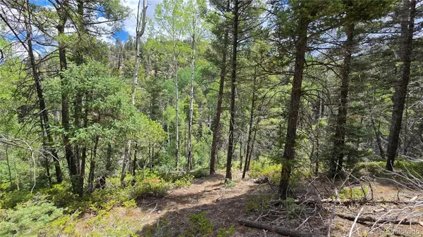 Lot 5540 Joy RD, Fort Garland, CO 81133