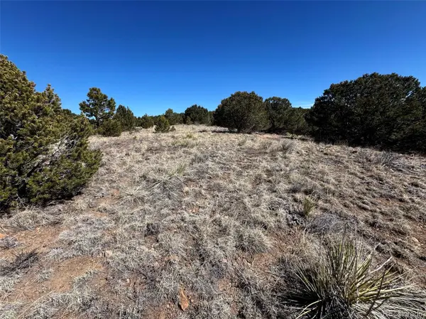514 Kiowa RD, Westcliffe, CO 81252