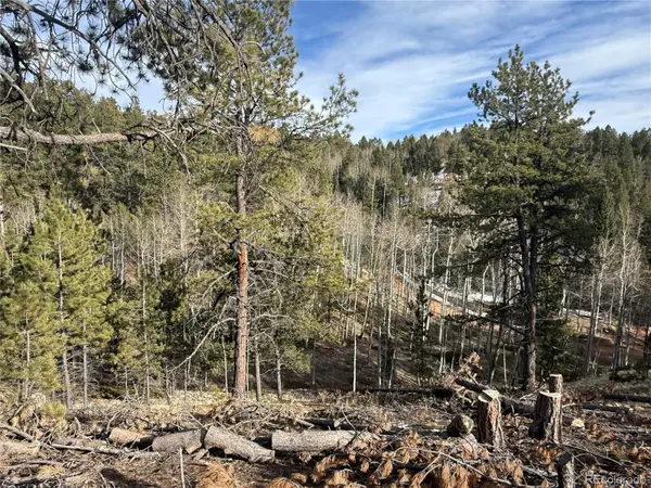 162 Eagle DR, Divide, CO 80813