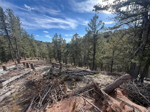 162 Eagle DR, Divide, CO 80813