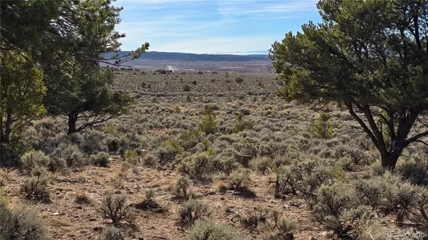 Lot 7293 Barker RD, Fort Garland, CO 81133