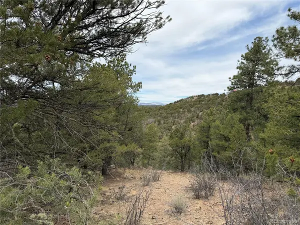 672 Coyote Run TRL, Cotopaxi, CO 81223