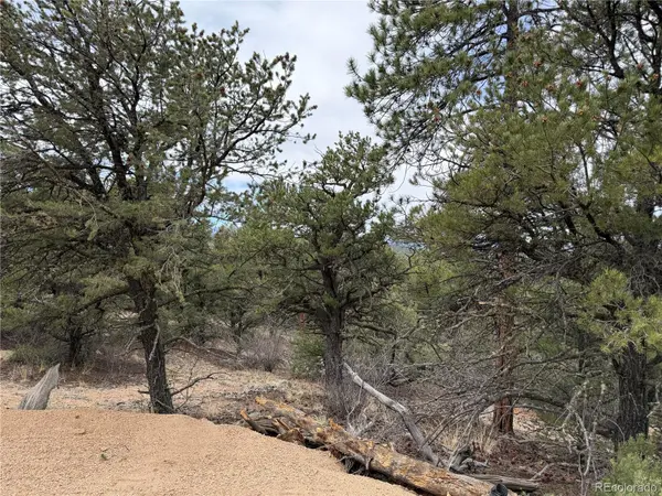 672 Coyote Run TRL, Cotopaxi, CO 81223