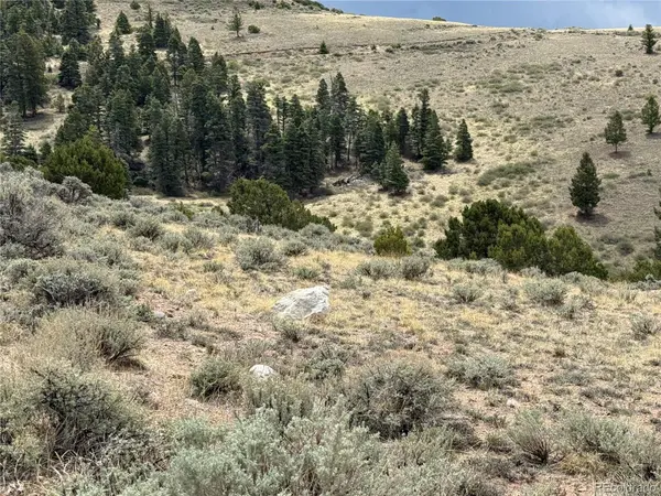 Lot 5428 Balleroy RD, Fort Garland, CO 81133