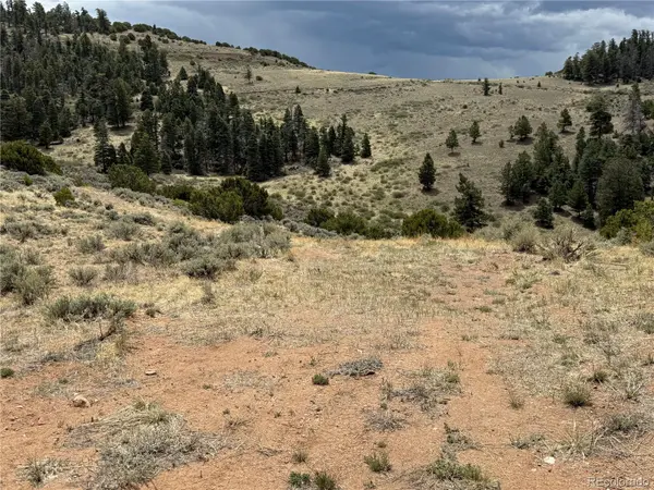 Lot 5428 Balleroy RD, Fort Garland, CO 81133