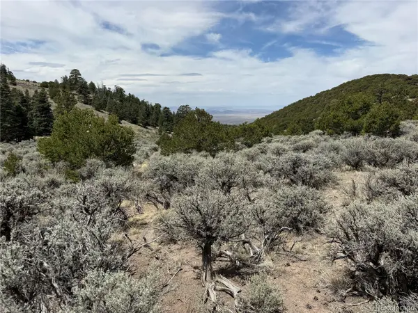 Lot 5428 Balleroy RD, Fort Garland, CO 81133