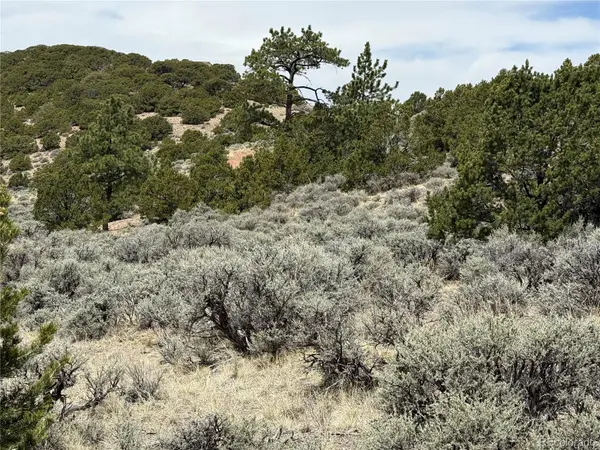 Lot 5428 Balleroy RD, Fort Garland, CO 81133
