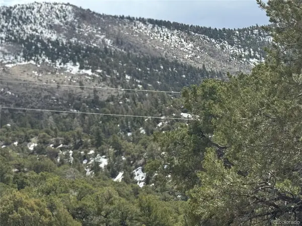 338 Cedar Ridge RD, Mosca, CO 81146