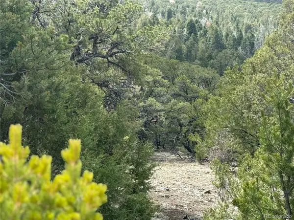 338 Cedar Ridge RD, Mosca, CO 81146