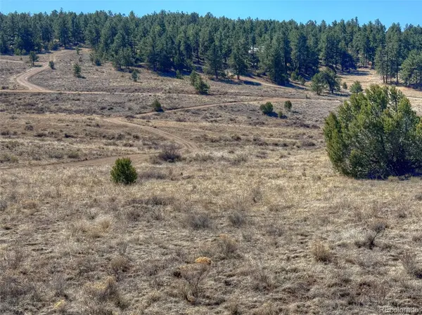 885 Crow RD, Westcliffe, CO 81252