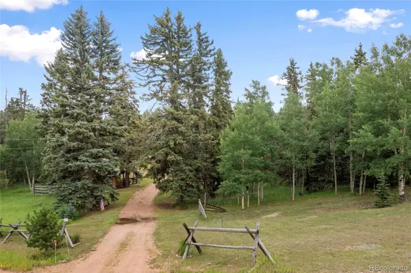 135 Daniwood GRV, Florissant, CO 80816