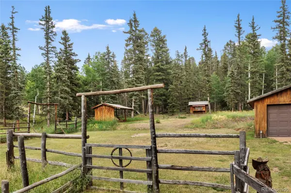 135 Daniwood GRV, Florissant, CO 80816
