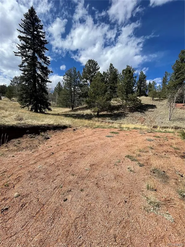 323 Gold King DR, Cripple Creek, CO 80813