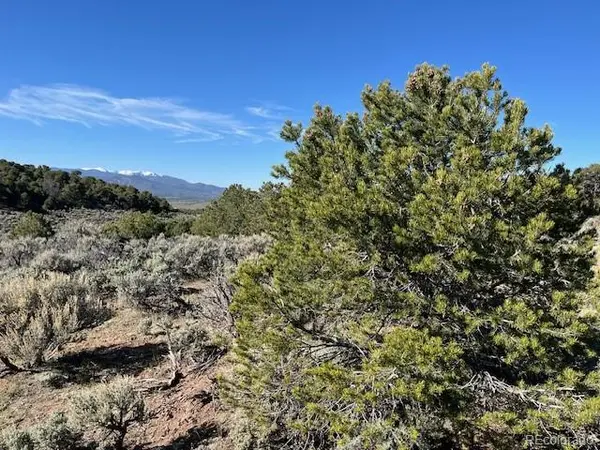 Lot 4 Elk Park RD, San Luis, CO 81152