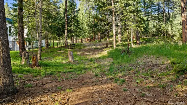 8125 Bannock DR, Larkspur, CO 80118