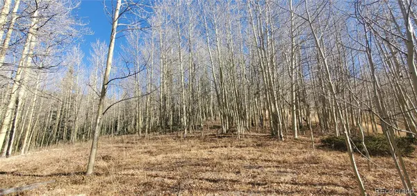Lot's 6414 & 6415 Bronfman RD, Fort Garland, CO 81133